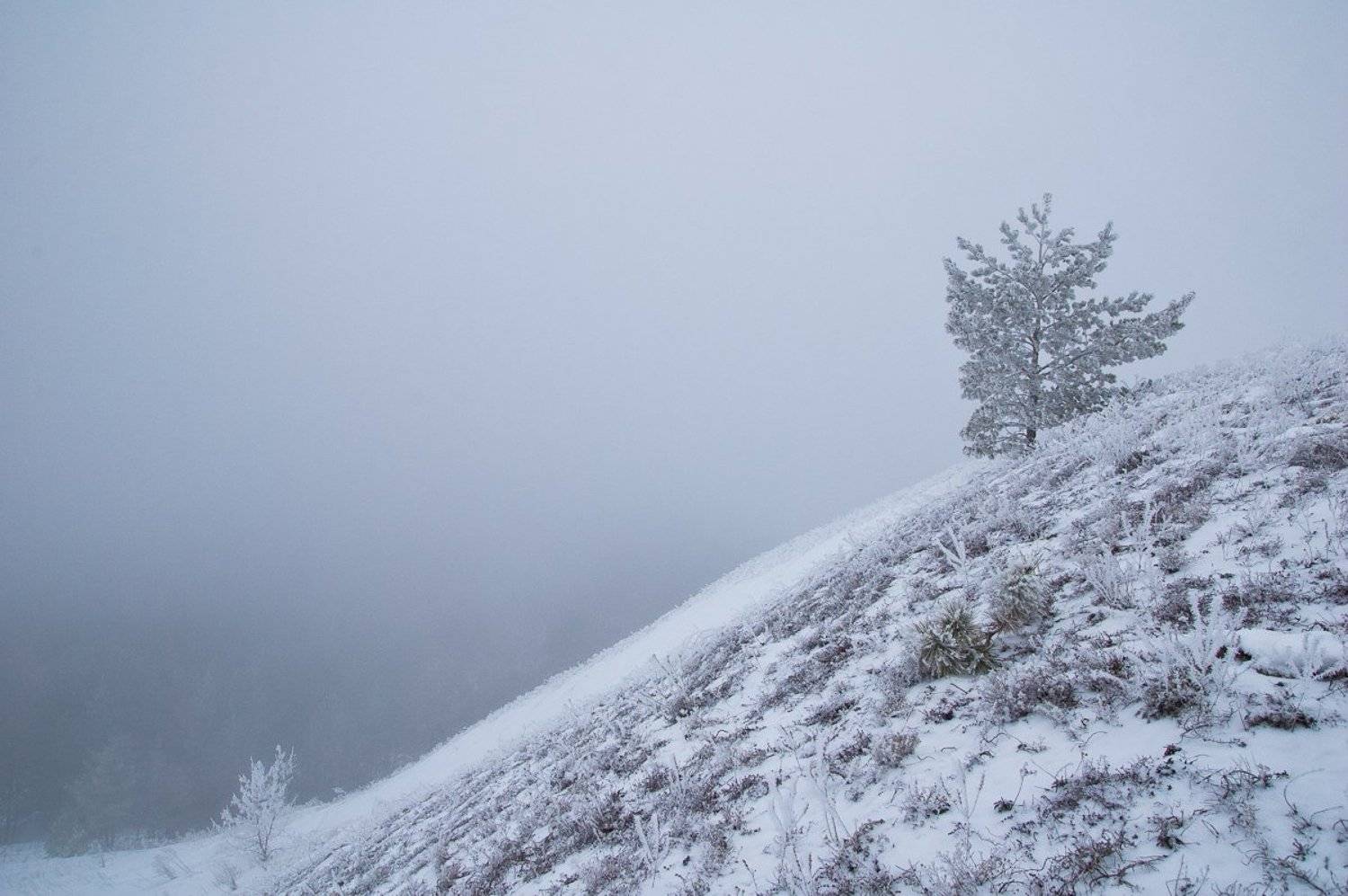 Бесконечность. Автор: Александр Филатов , Александр Филатов