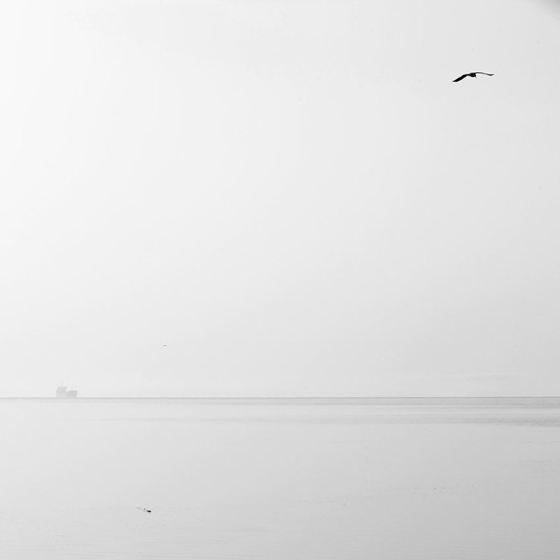 Точка и линия на плоскостиphoto preview