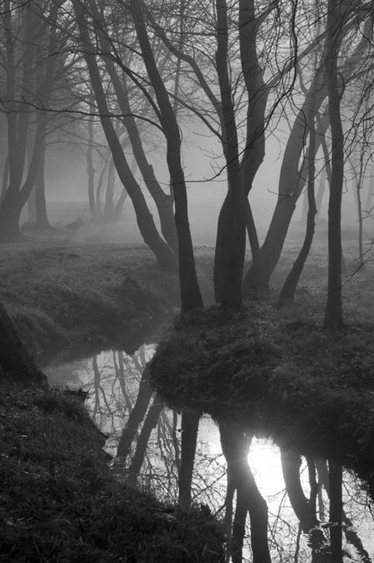 Отраженияphoto preview