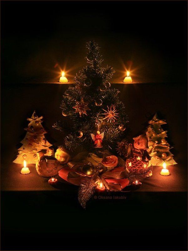 Волшебная ночьphoto preview