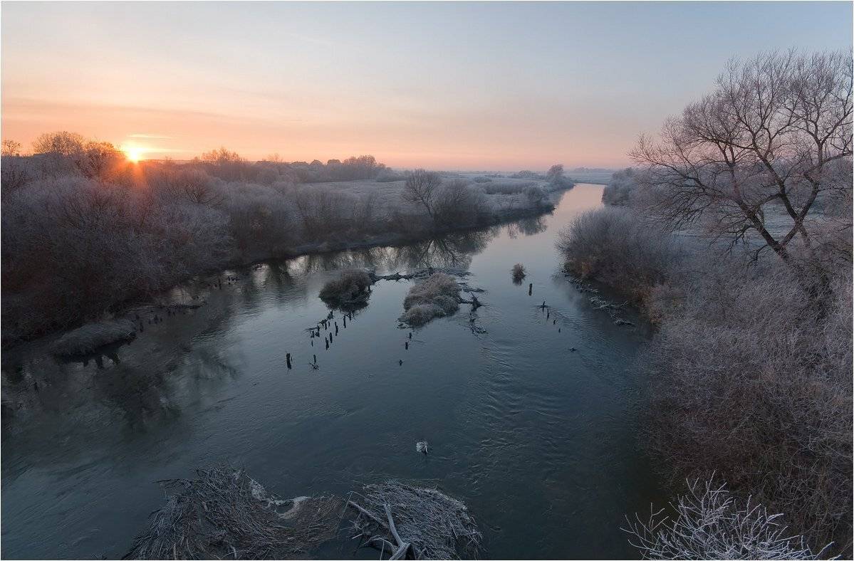 , Николай Шахманцир