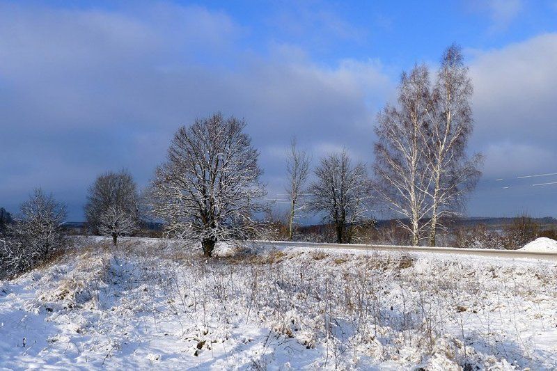 шамордино, январь, 2012 Шамордино январь 2012photo preview