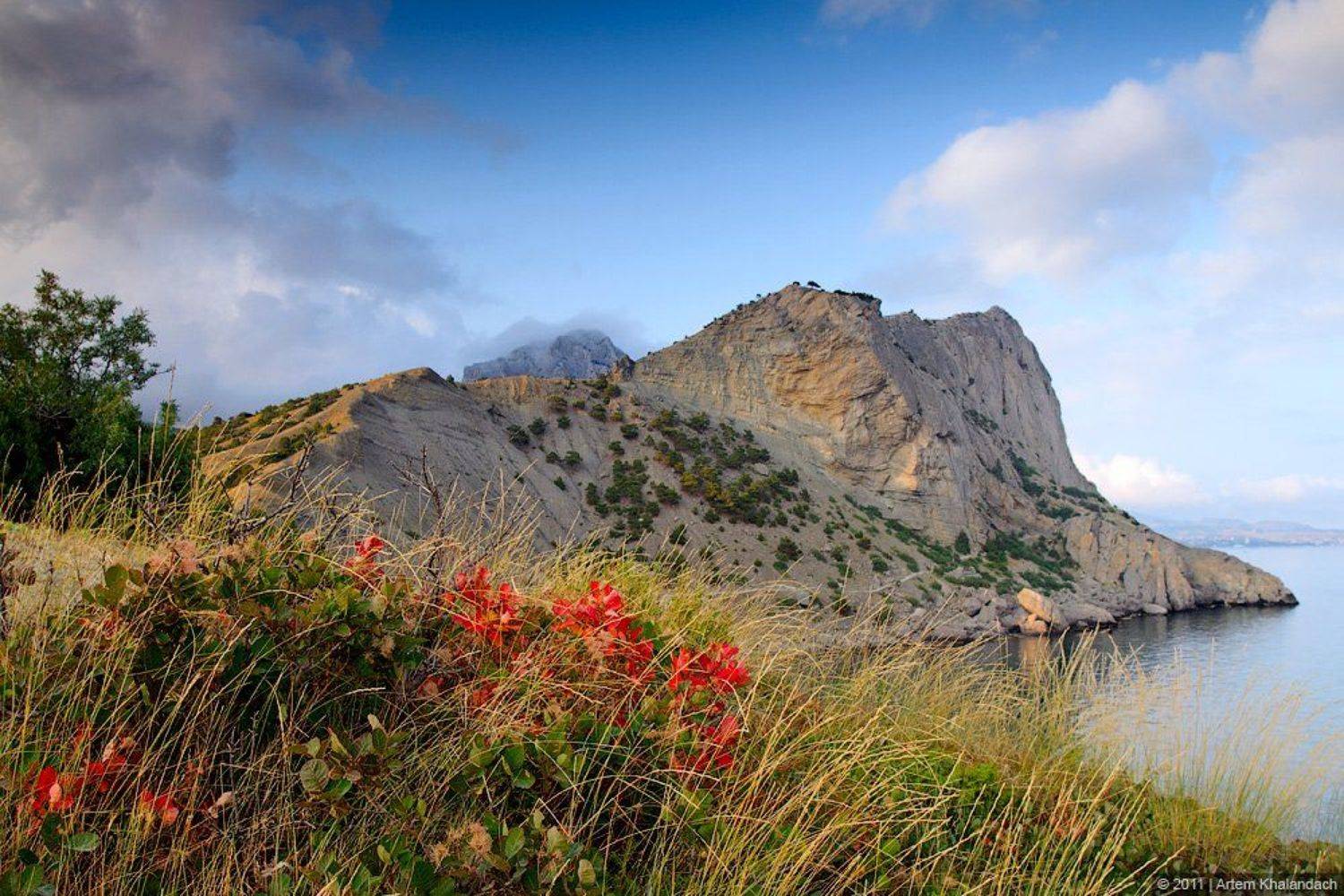 Цвета Крыма. Автор: Артем Халандач крым, новый свет, Артем Халандач