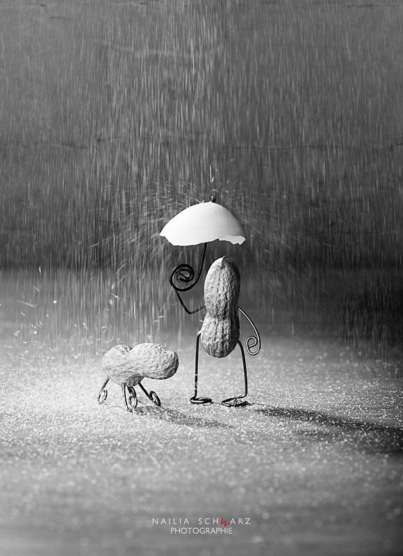 Simple Things, small storysphoto preview