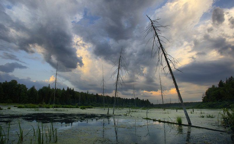 болото Уединённое место для влюблённых...в охотуphoto preview