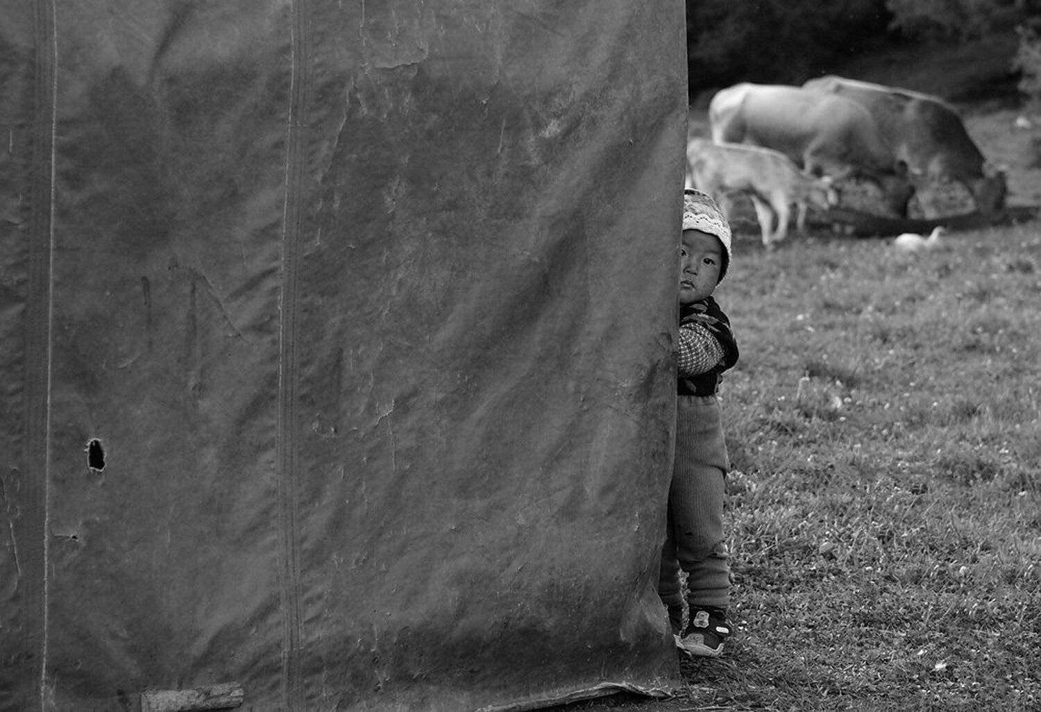 В Киргизии. Автор: VLADIMIR PAVELKO , VLADIMIR PAVELKO