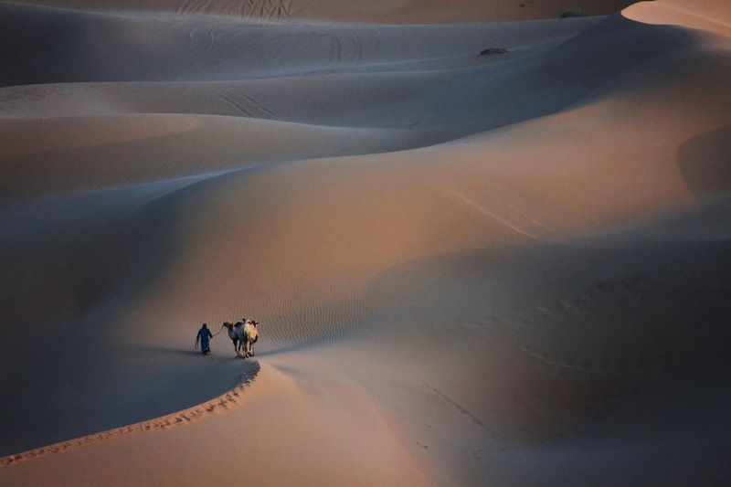 Desert-2photo preview