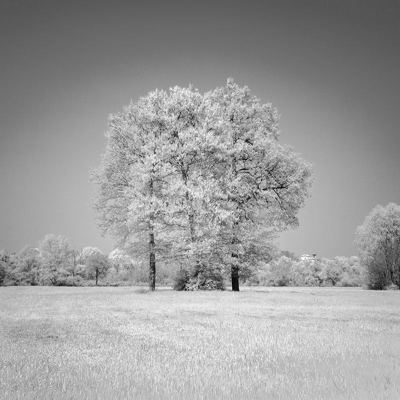 infrared long exposure fineart photography ir simone zeffiro italy countryside IR Landscapephoto preview
