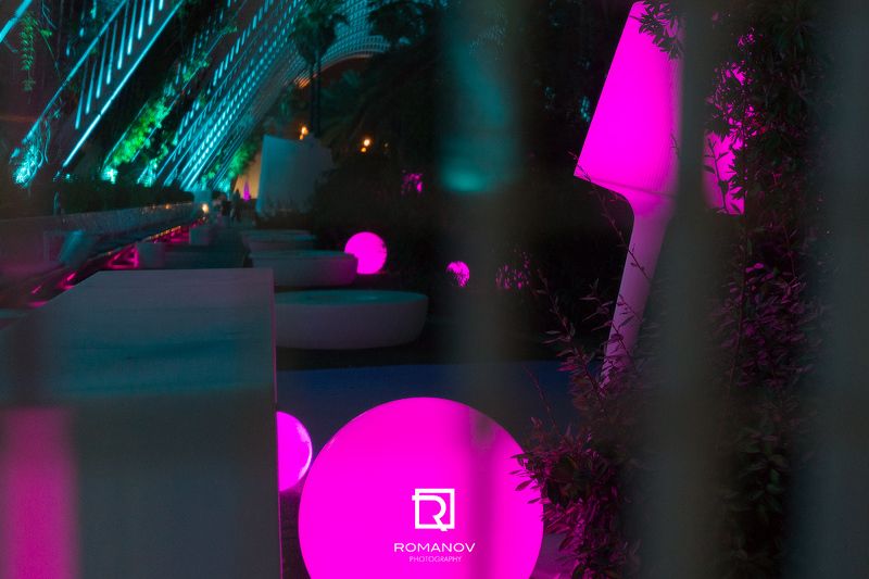 джунгли, город, свет, ночь, освещенИе, силуэт, светимость, архитектура, городской, деревья, круг, фиолетовый, циан, подсветка City junglephoto preview