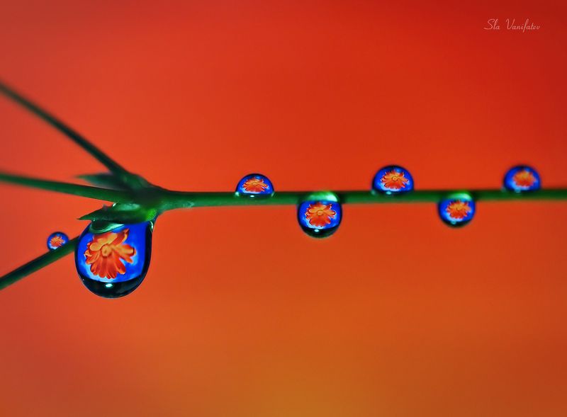 макро у монитора....photo preview