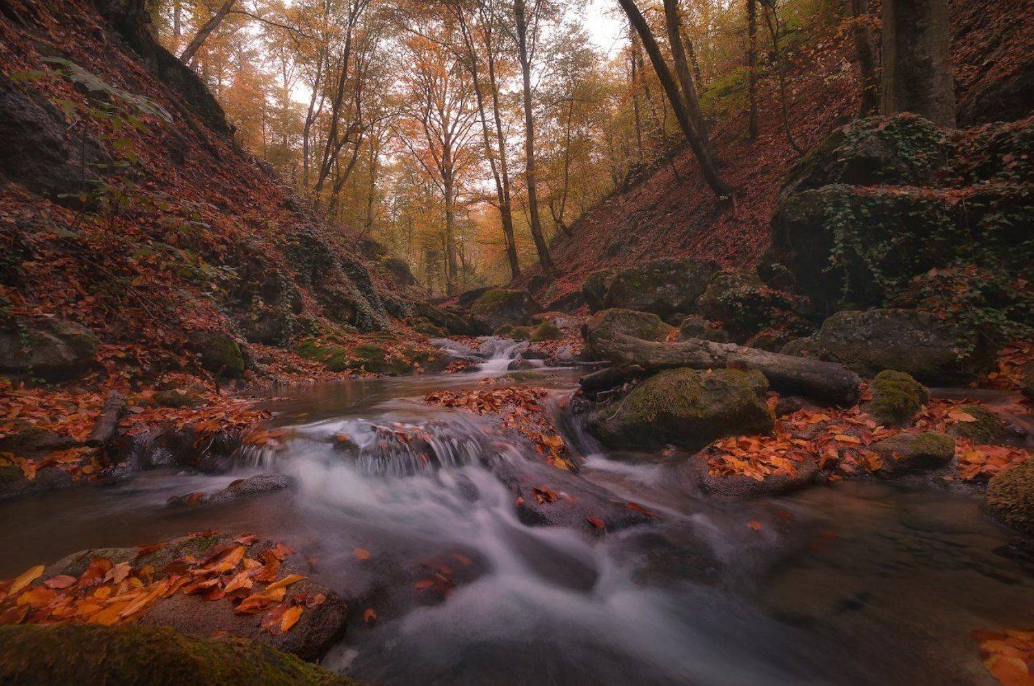 , Жмак Евгений