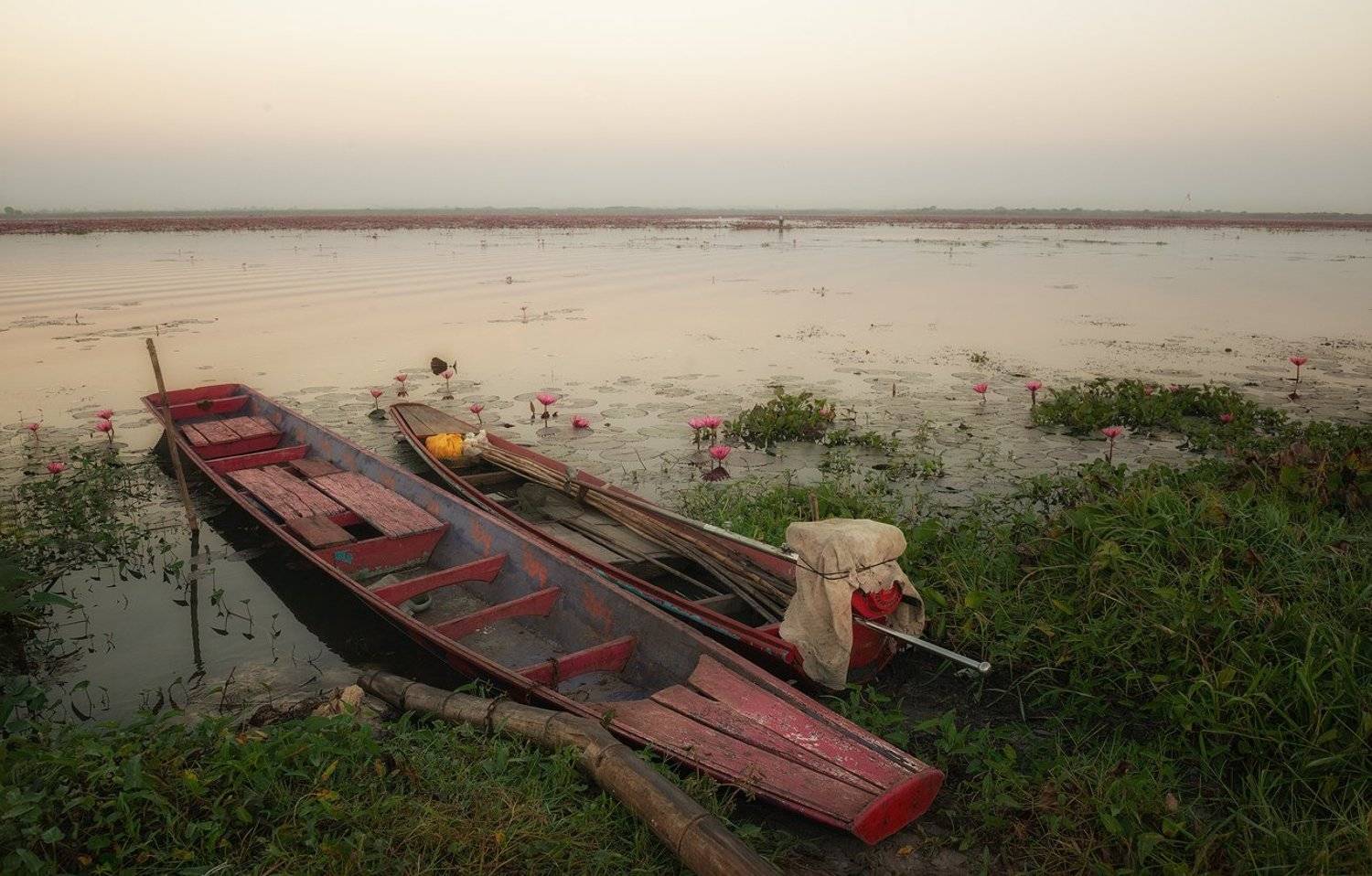 озеро, путешествие, пейзаж, рассвет, удон тхани, таиланд, udon thani., Валерий Ряснянский