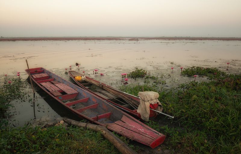 озеро, путешествие, пейзаж, рассвет, удон тхани, таиланд, udon thani. Озеро Красных лотосовphoto preview