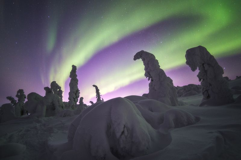 россия, кольский полуостров, мурманская область, кандалакша, природа, пейзаж, зима, горы, сопка, снег, северное сияние, лесотундра, белое море, заполярье Световое шоу фото превью