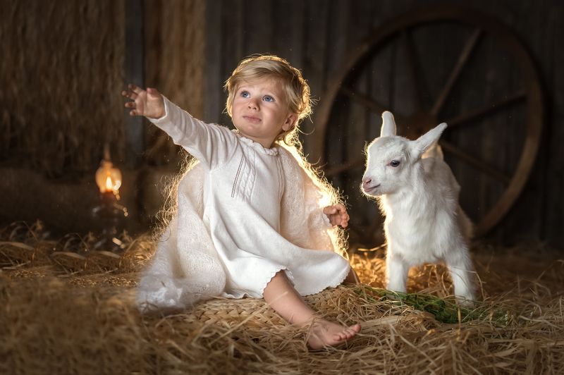 козленок photo preview