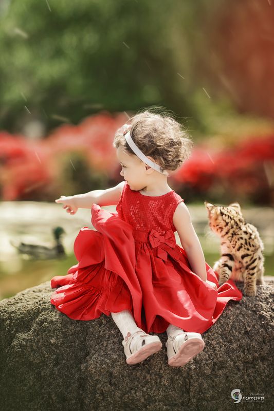 девочка, красное, цветы, лето, котенок, саванна, дружба, цветы Марго и Манго фото превью