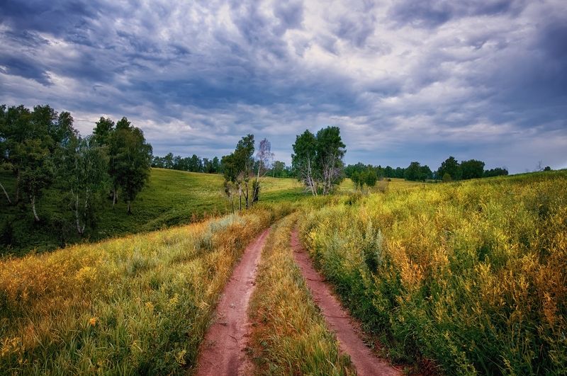 алтай, обь Вечерняя дорогаphoto preview