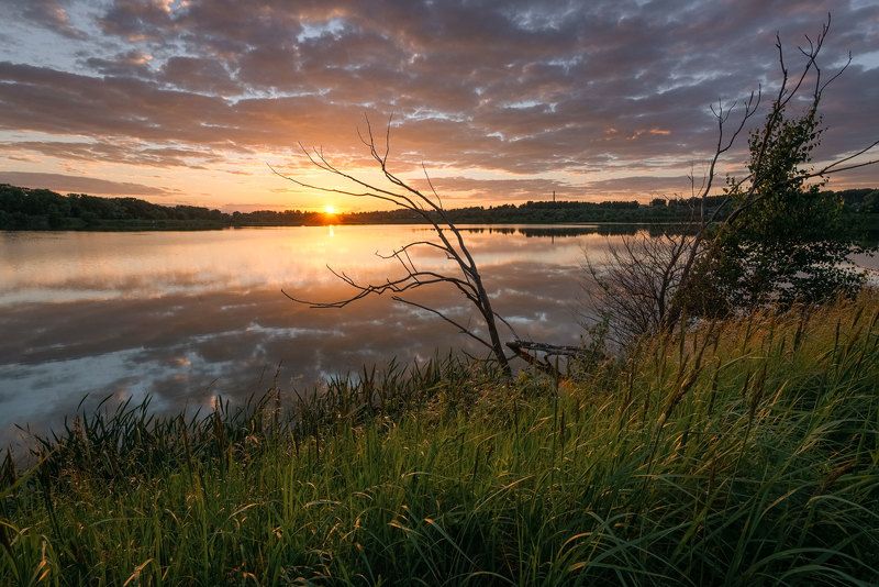 пейзаж россия никон подмосковье Подмосковные вечераphoto preview