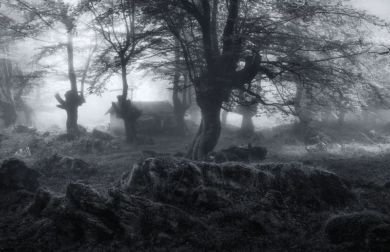 Поворот не тудаphoto preview