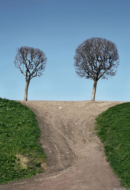 набережная, россия, санкт-петербург, пейзаж, путешествие, travel, nature, russia Двое в Петергофеphoto preview