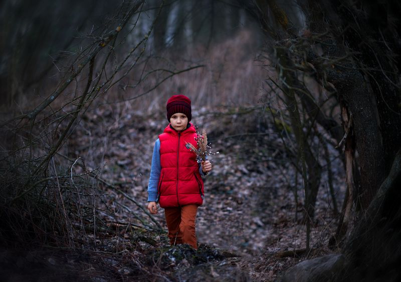 Ранняя веснаphoto preview