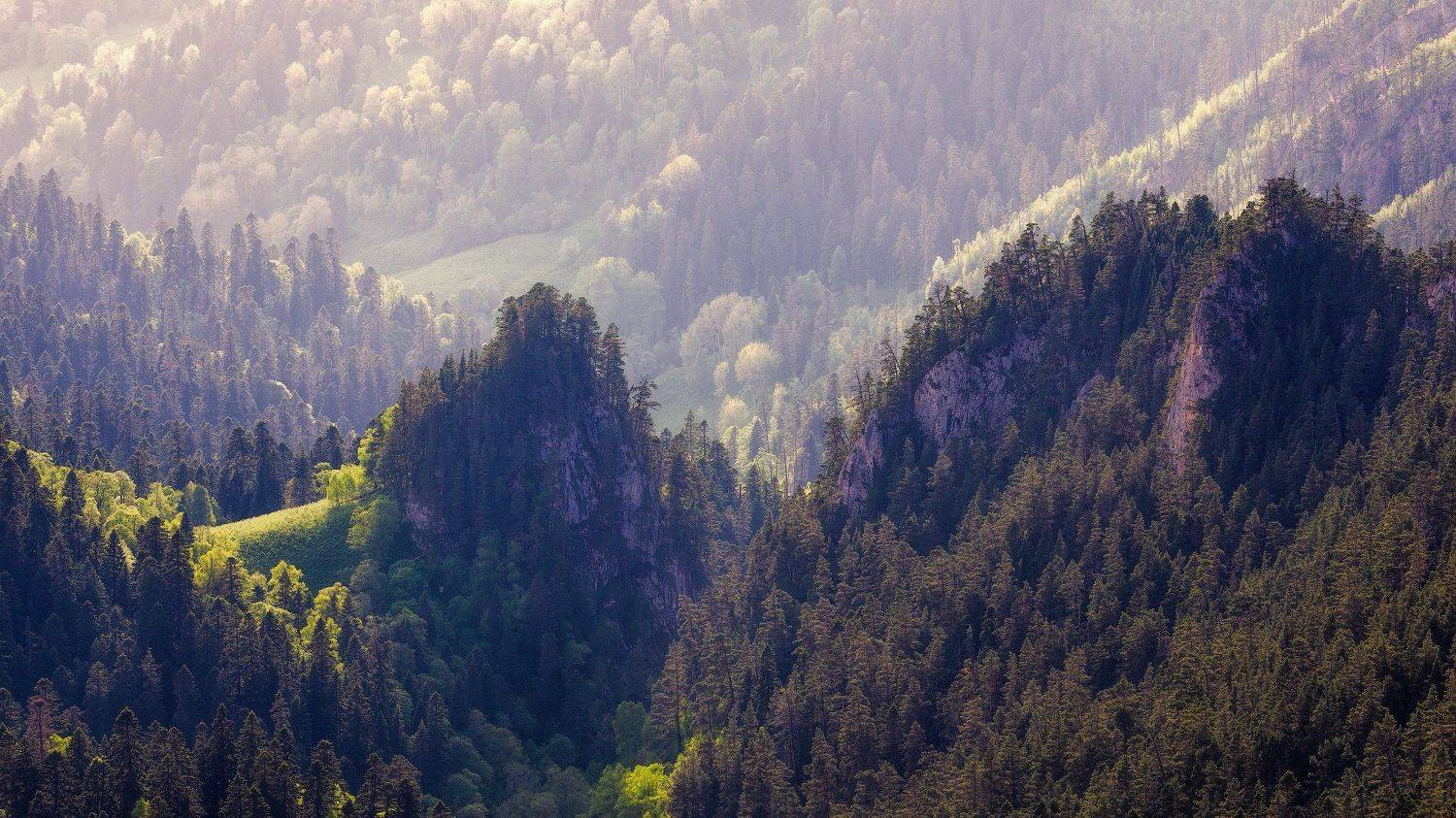 Ода жизни. Автор: Alexander Plekhanov , Alexander Plekhanov