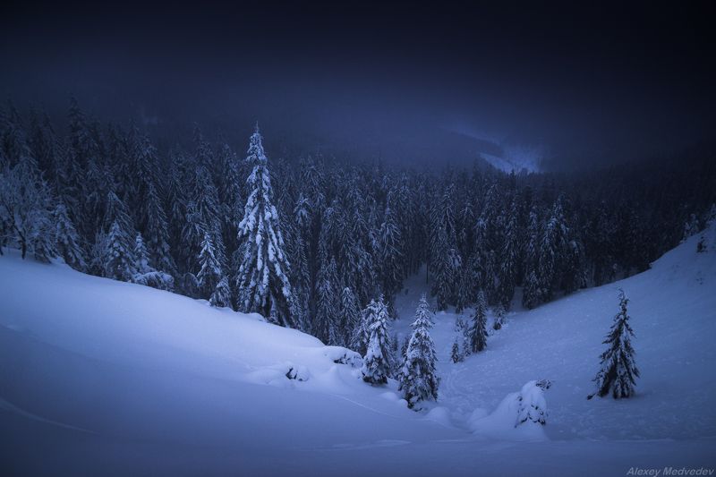 карпаты, украина, зима, горганы, урочище, пекло, горгани, carpathians, ukraine, gorgany Спящий лесphoto preview
