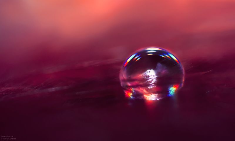 макро, капли, вода, боке, macro, drops, water, bokeh, ***photo preview