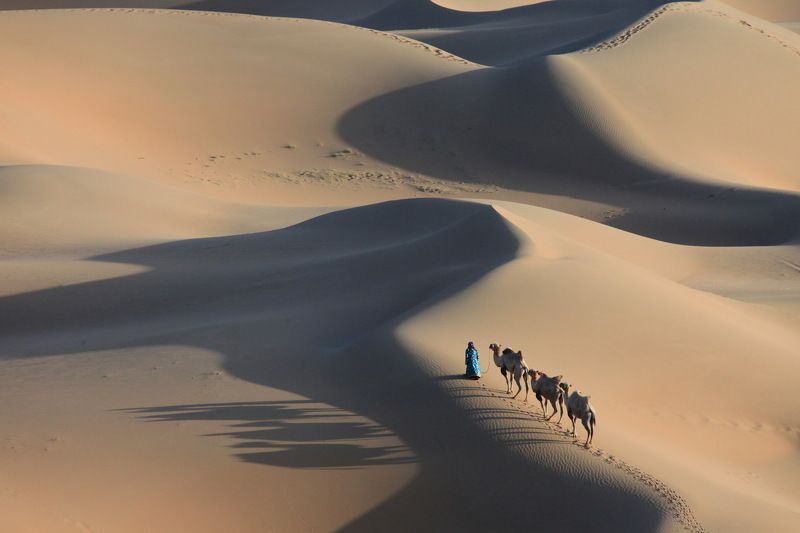 Desert-3photo preview