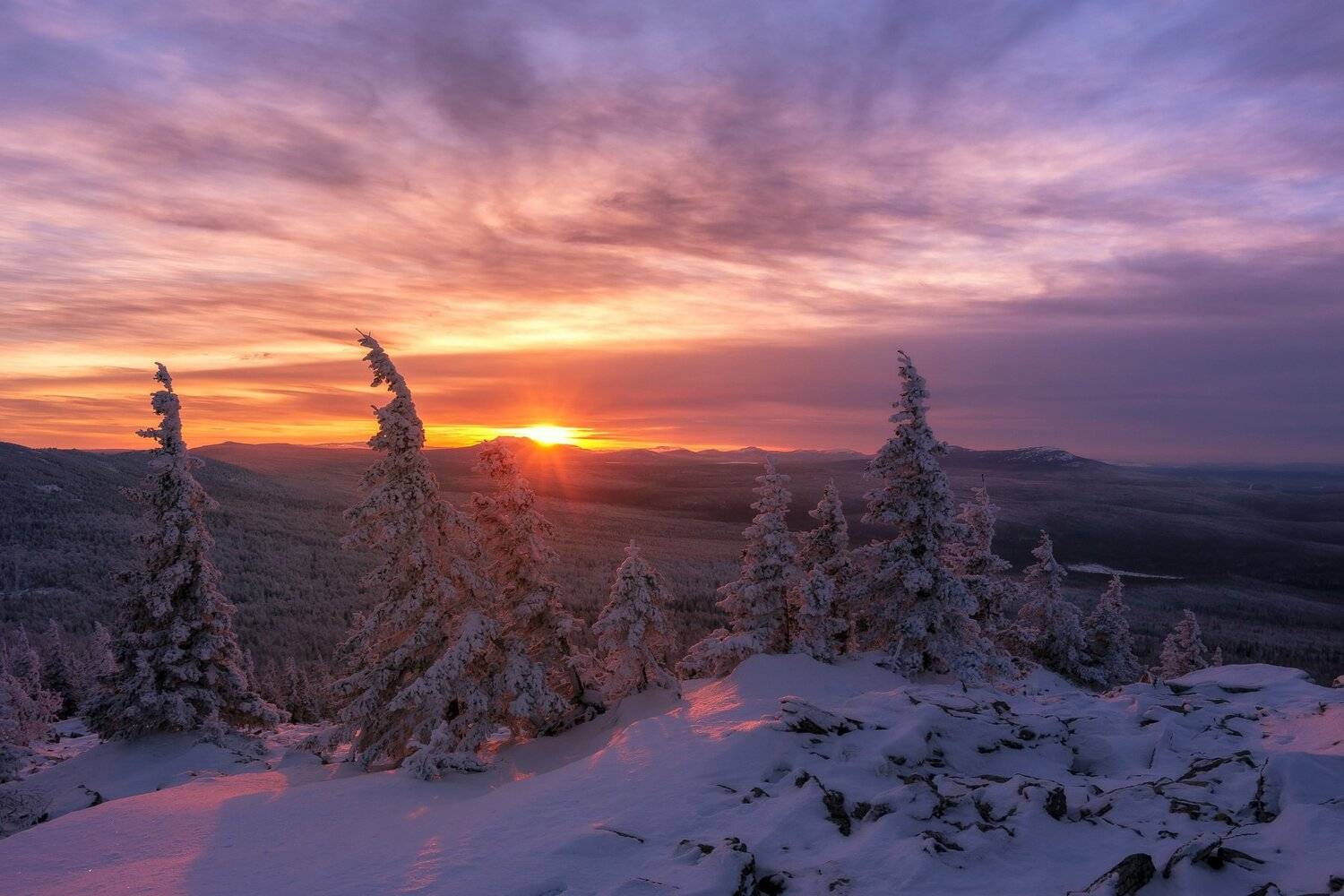 , Андрей Шарапов