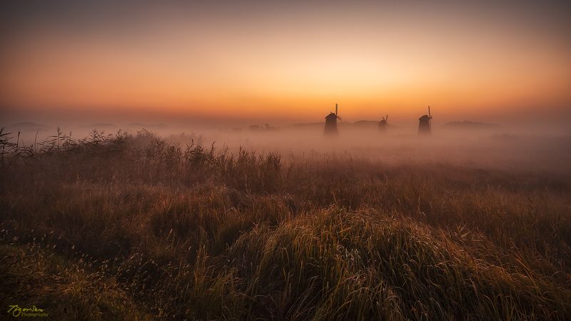 fog light morning sky windmill forest misty color landscape  Morning lightphoto preview