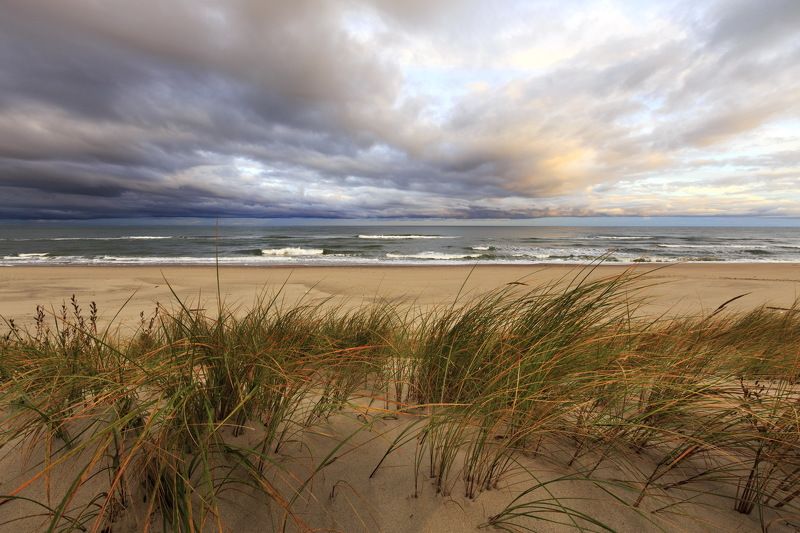 балтика, куршская коса Балтийский берегphoto preview