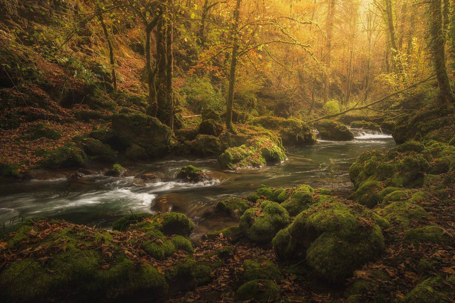 L'Ain. Автор: Бахышев Сафар , Бахышев Сафар