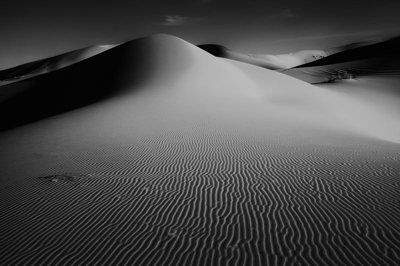 марокко, путешествие, пустыня, репортаж, африка, сахара Монохромная Сахараphoto preview