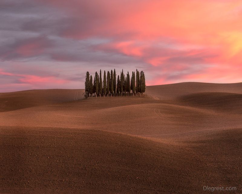 тоскана, италия, кипарисы, деревья, закат, пейзаж Кипарисовый островphoto preview