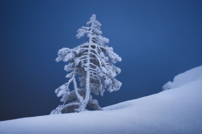 крым, зима, зима в крыму, зимний крым, весна в крыму, весенний крым, ай-петри, зима в горах, туризм, путешествия, фототур, фототур в крым, тур по крыму Зачарованная зимойphoto preview