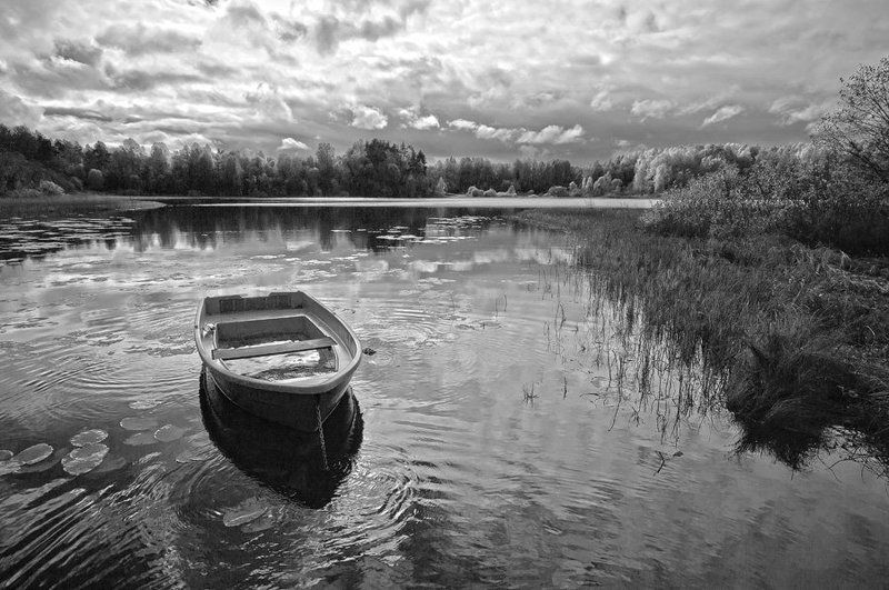 Про одиночество...photo preview