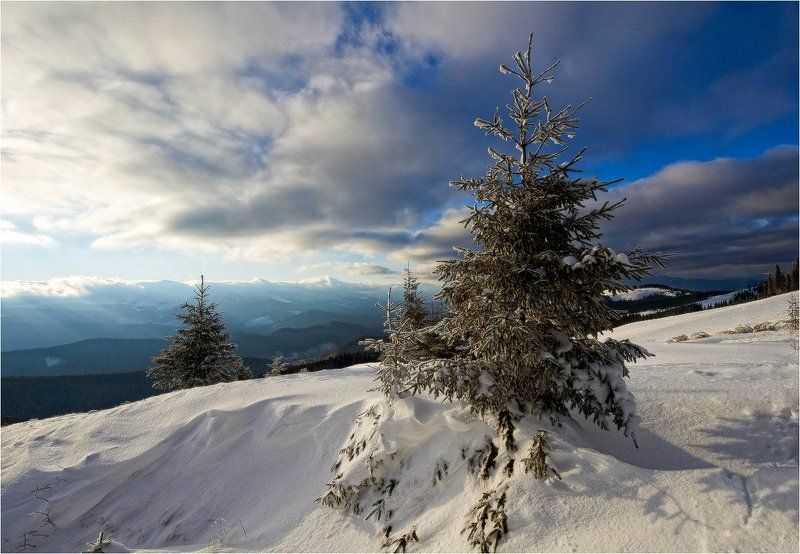 холодно зимой...photo preview