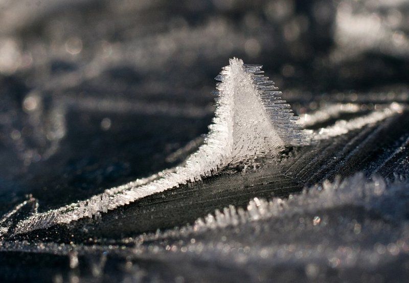 А ты такой холодный, как айсберг в океанеphoto preview