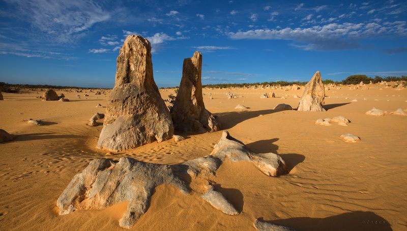 австралия, pinnacle desert Pinnacle Desertphoto preview