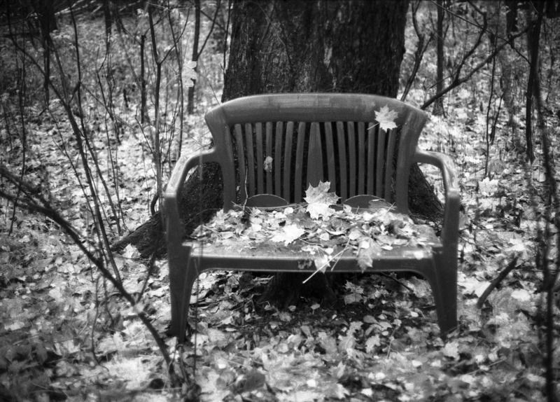 Одиночество (Сокольники. Осень)photo preview