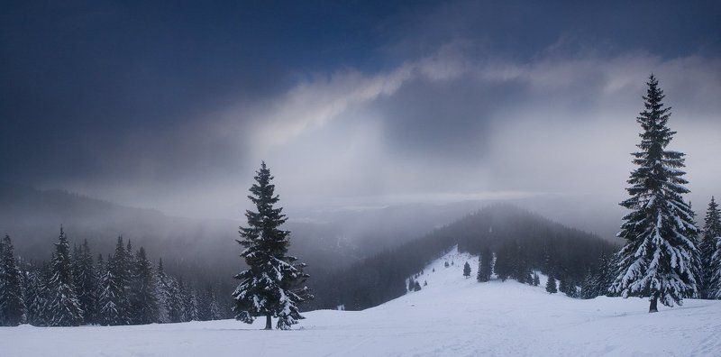 карпаты, облачность, поход, новый год Сквозь пелену облаков и снегаphoto preview