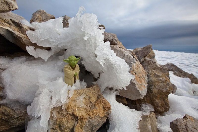 мастер йода, крым, ай-петри Скоро веснаphoto preview