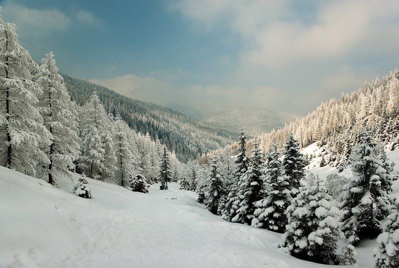 И это все о ней...photo preview