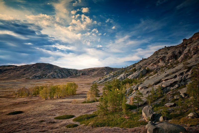 56464654photo preview