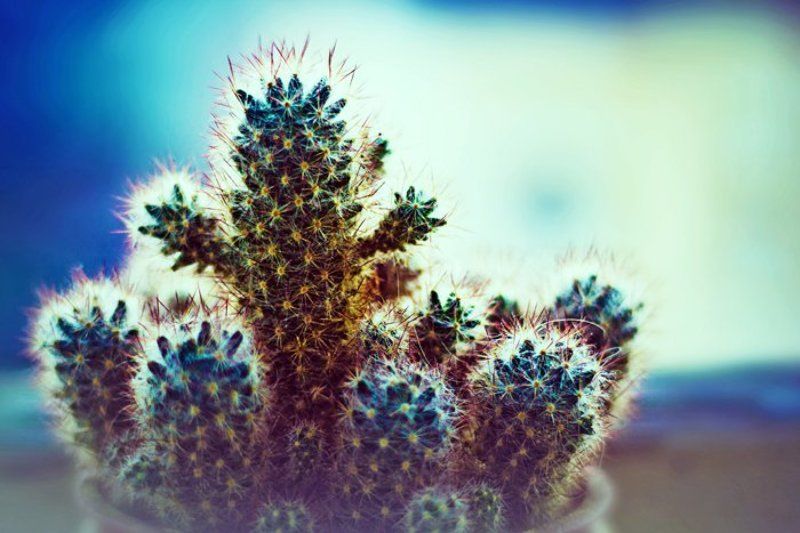 Иголкиphoto preview