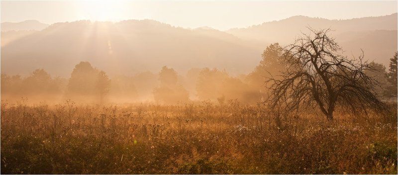 солнечный с грустинкой...photo preview