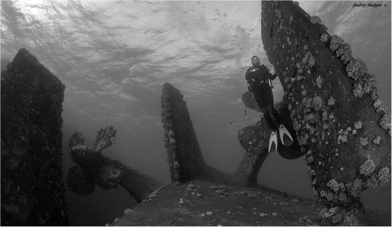 красное море, затонувшее судно посейдония Девушка с вес... с рулём.photo preview