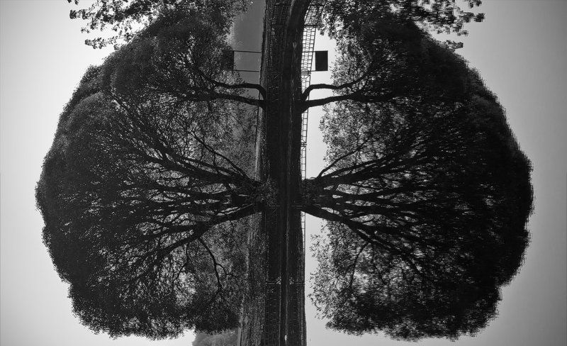 Лёгкие курильщика фото превью