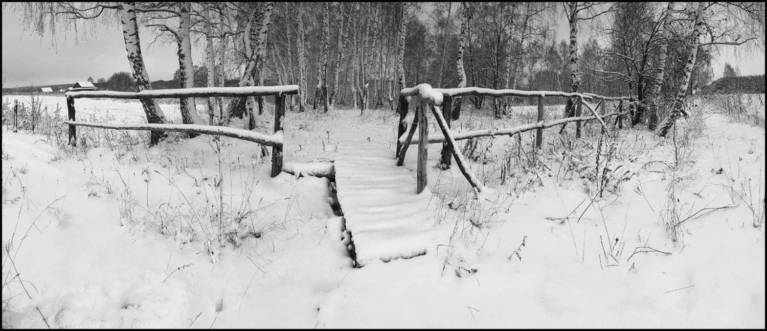 , Владимир Жуков